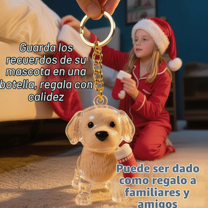 Llavero recuerdo con el pelo de tu perro